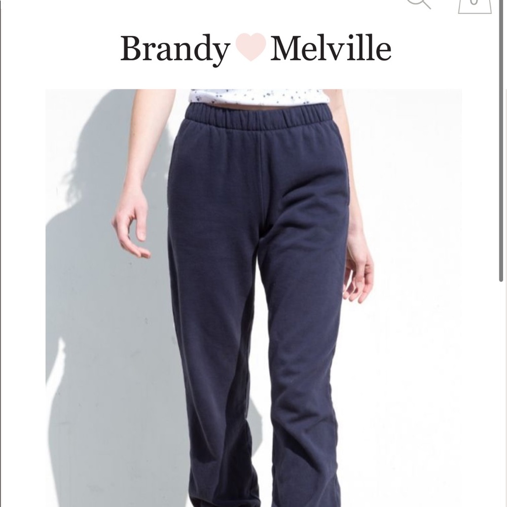 Navy Rosa Brandy Melville sweatpants